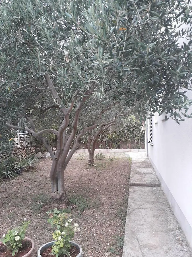 Apartments Boljat Τρογκίρ 0*,  Κροατία